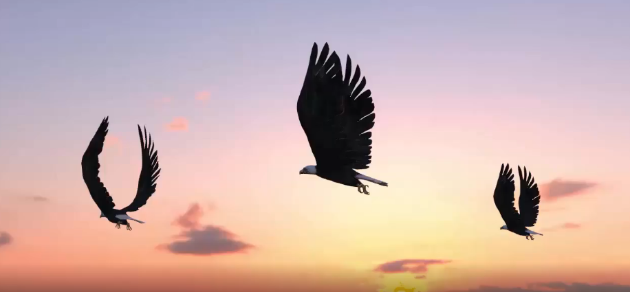 Soaring like an Eagle